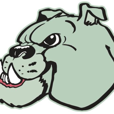 AR BDOG 29 RC Thumbnail