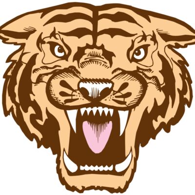 BAW TIGER 05 RC Thumbnail