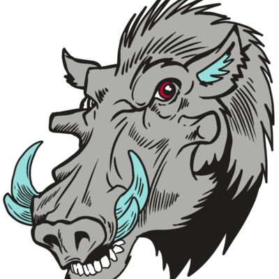 AR20 RAZORBACK 39 RQC Thumbnail